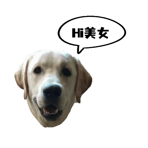拉布拉多