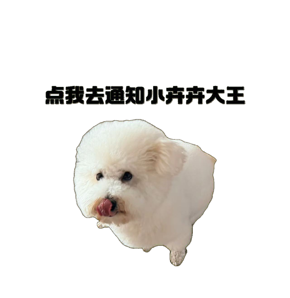 点我去通知小卉卉大王
